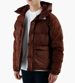 The North Face M Hmlyn Down Parka Dark Oak