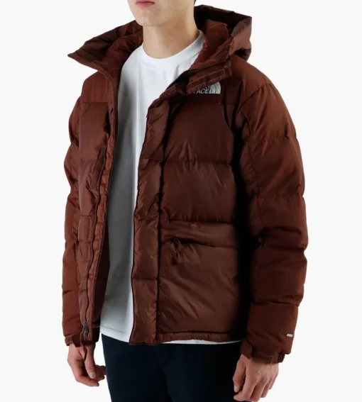 The North Face M Hmlyn Down Parka Dark Oak