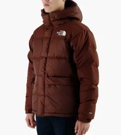 The North Face M Hmlyn Down Parka Dark Oak
