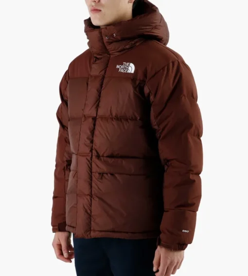 The North Face M Hmlyn Down Parka Dark Oak